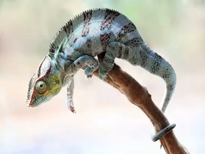 Модификация с resize=400x300